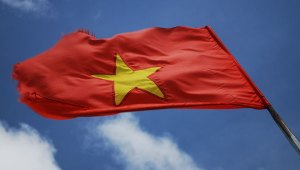 Die vietnamesische Flagge